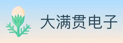 大满贯电子 logo